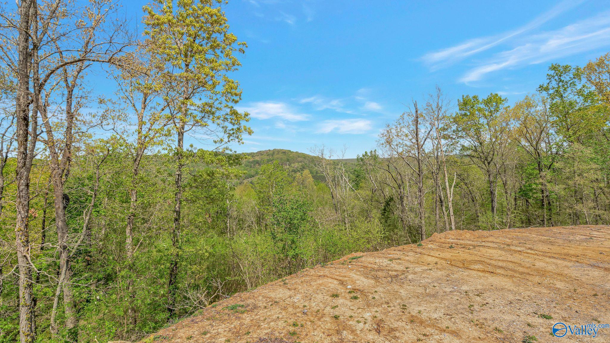 2846 Preston Island Cir, Scottsboro, Alabama image 25