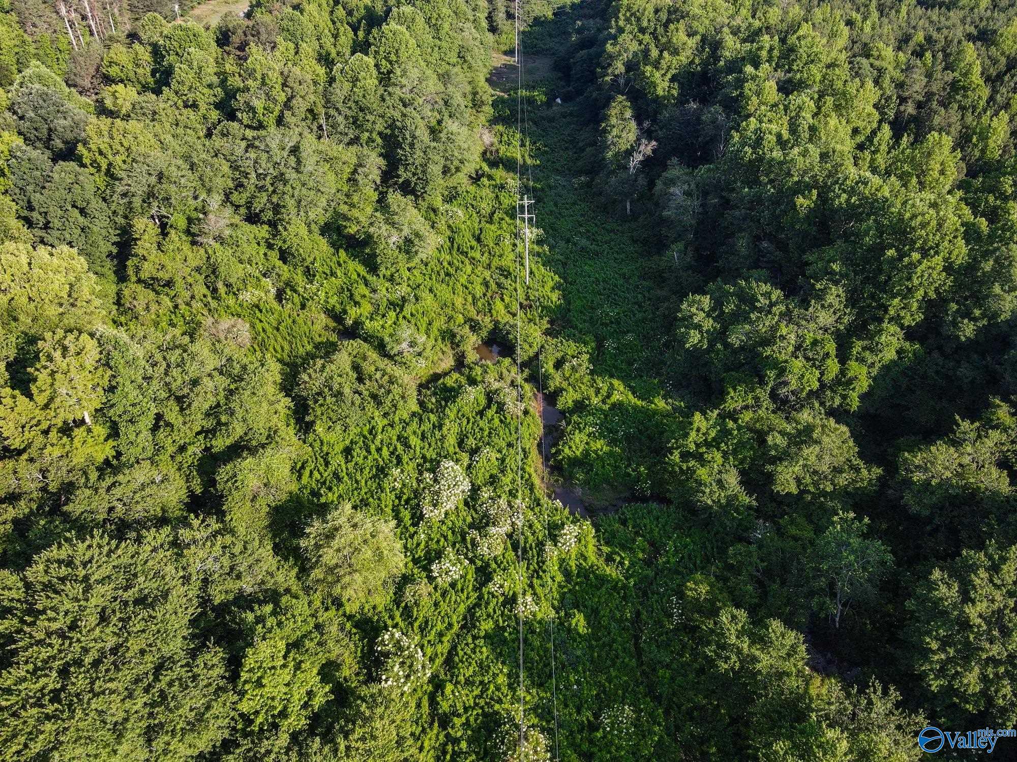 30 Acres County Road 261, Fort Payne, Alabama image 8