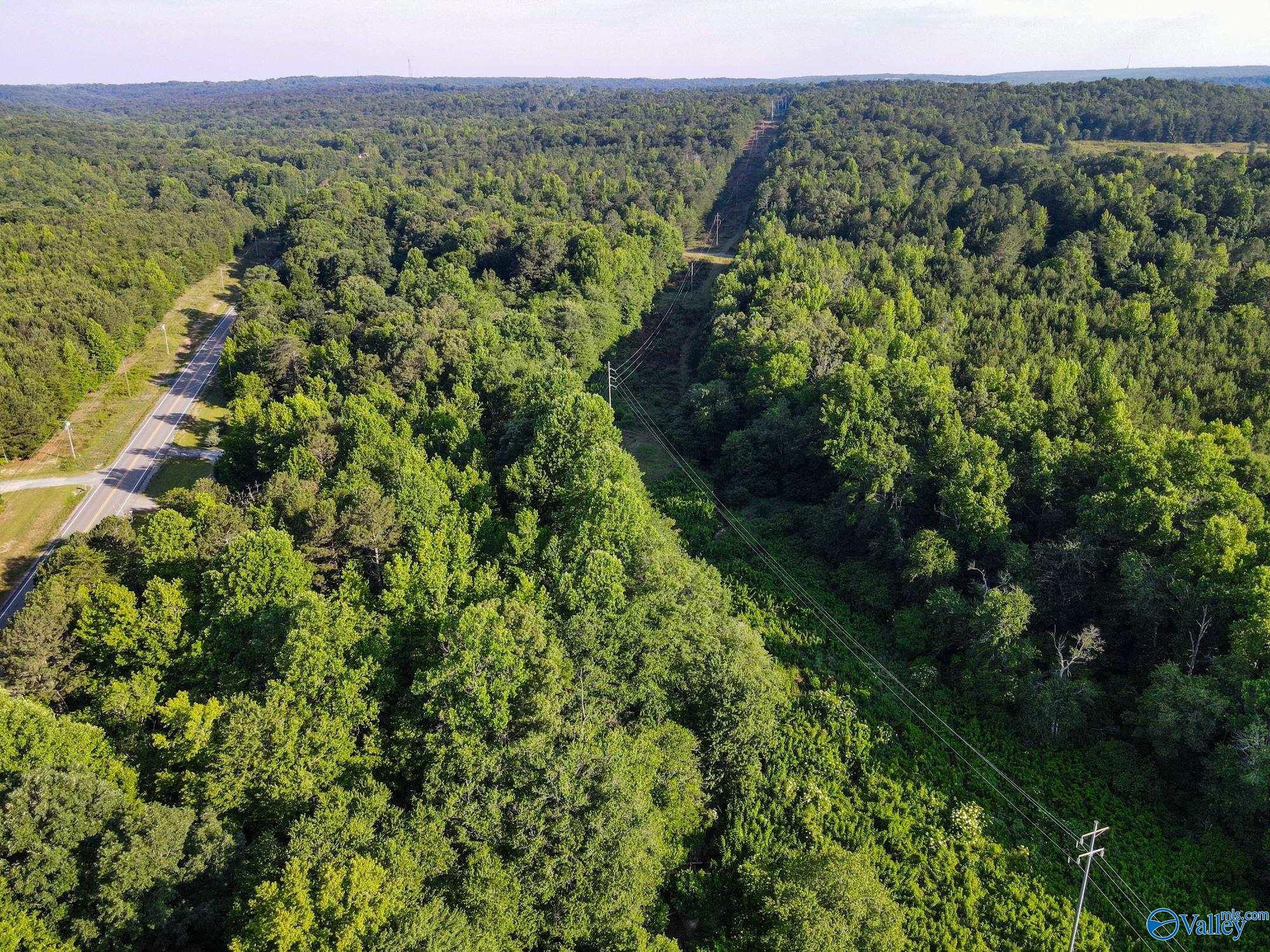 30 Acres County Road 261, Fort Payne, Alabama image 6