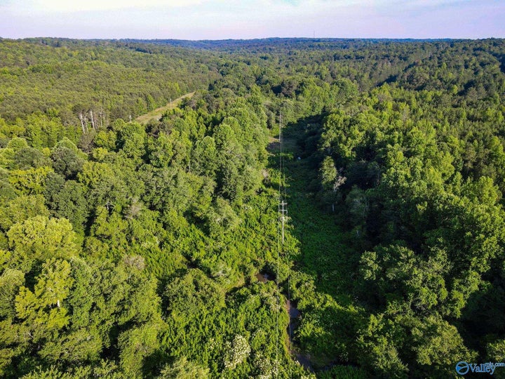 Photo 1 of 23 — 30 acres County Road 261, Fort Payne, AL 35967