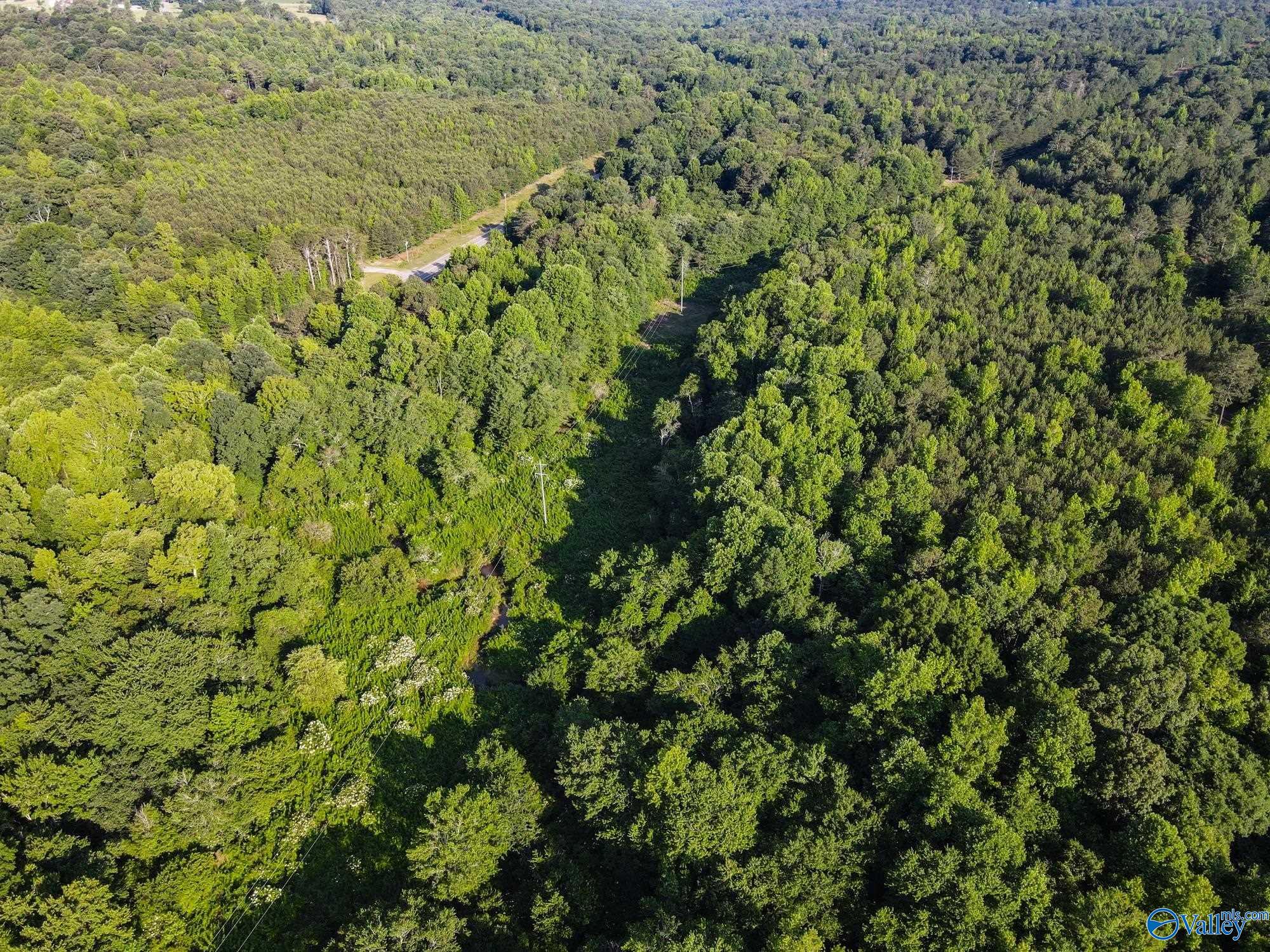 30 Acres County Road 261, Fort Payne, Alabama image 7