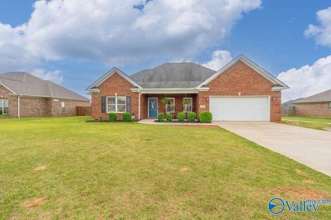 Homes For Sale - 114 Evergreenview Drive<br/> Hazel Green, AL 35750