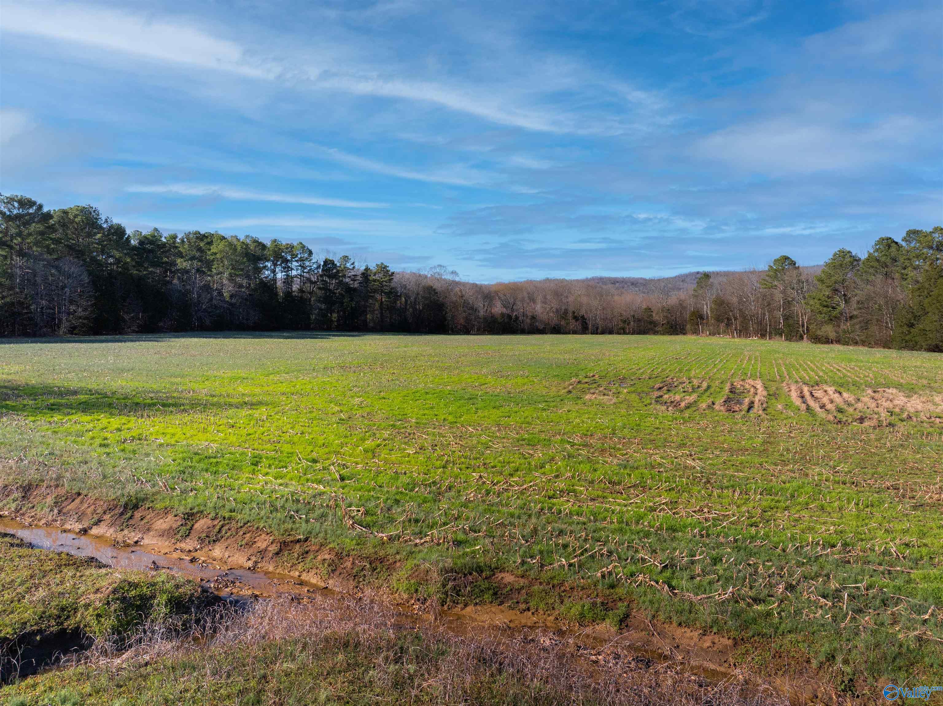 50 Acres Hurt Street, Hollywood, Alabama image 6