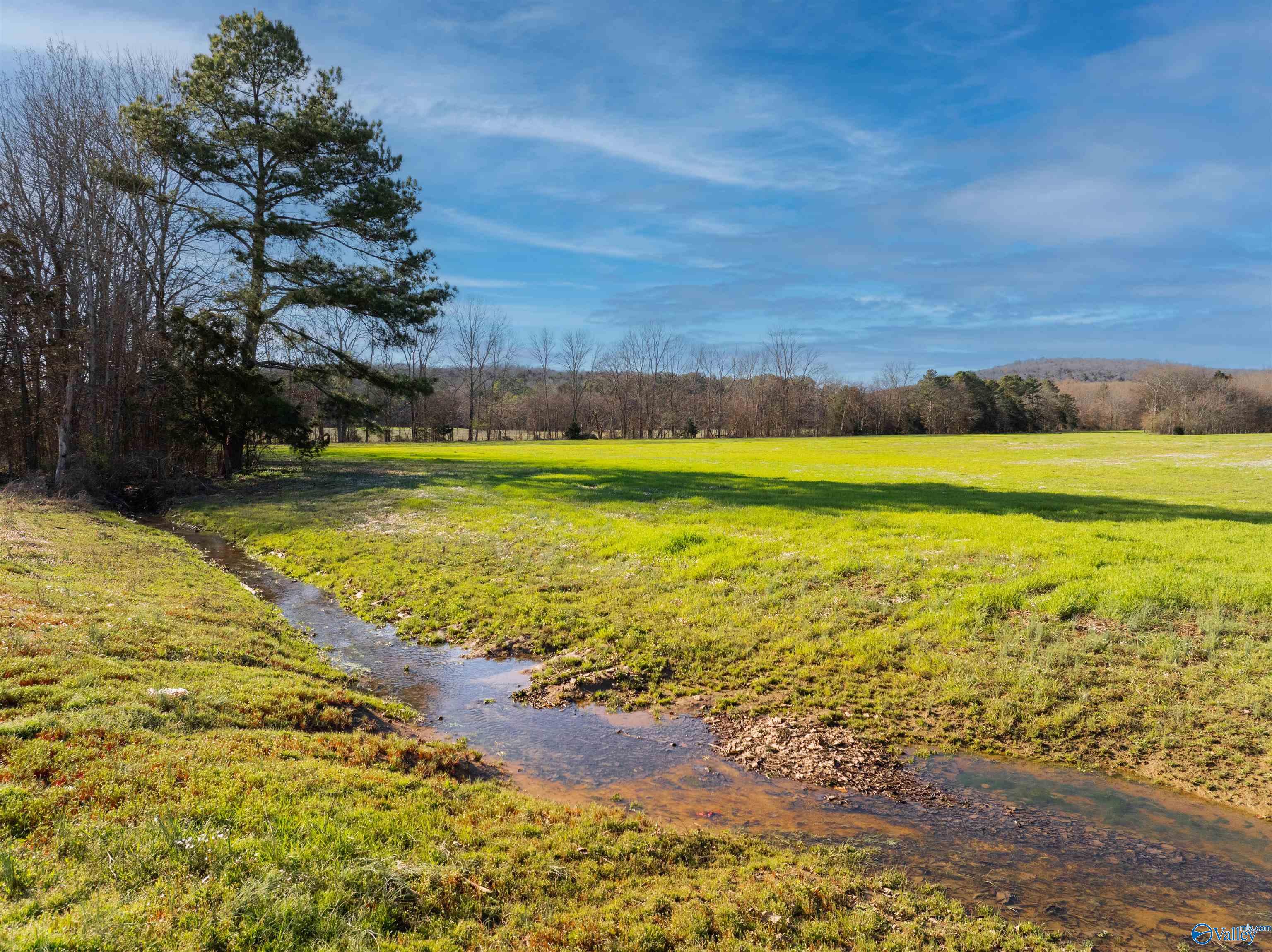 50 Acres Hurt Street, Hollywood, Alabama image 2