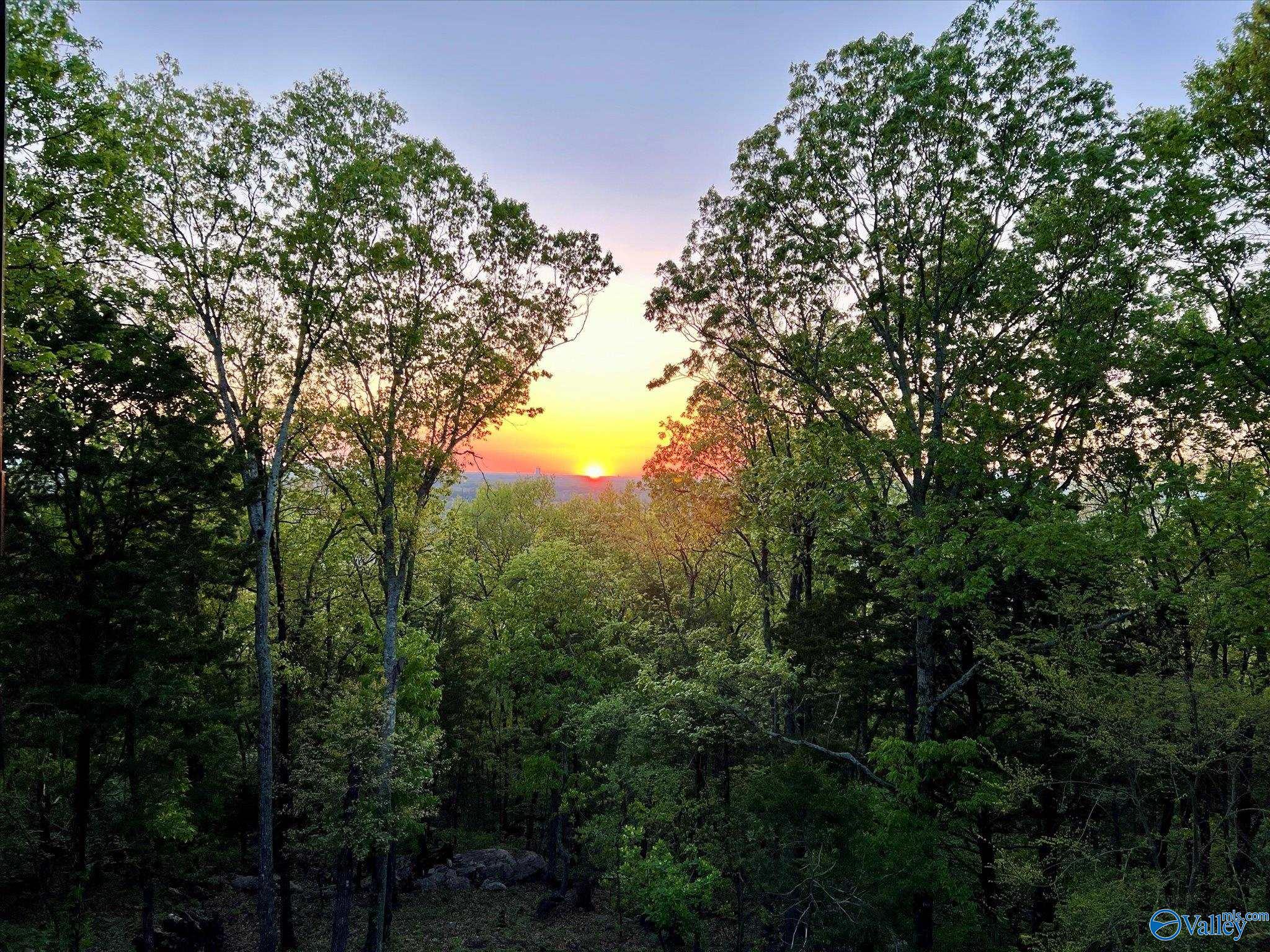 10200 Gibraltar Drive, Huntsville, Alabama image 37