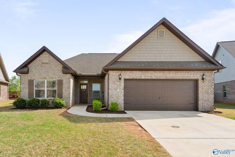Homes For Sale - 260 Holt Street<br/> Meridianville, AL 35759