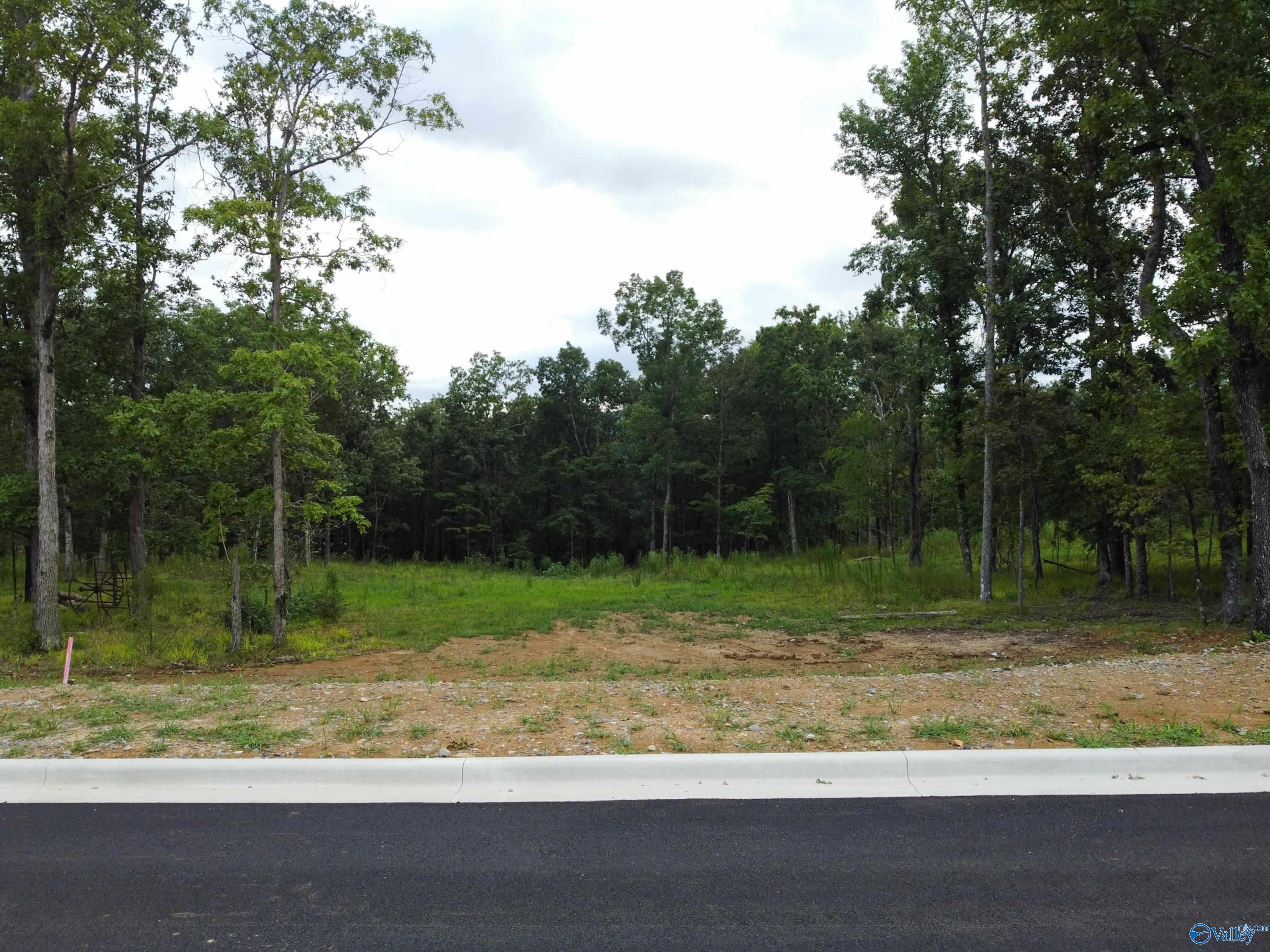 Lot 33 Watson Grande Way, Owens Cross Roads, Alabama image 2