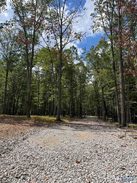 Vacant Land For Sale - 15063 Wade Point Road<br/> Huntsville, AL 35803