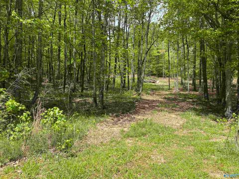 Vacant Land For Sale - 2521 SW Glenn Boulevard<br/> Fort Payne, AL 35968