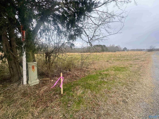 55 COUNTY RD 603, SECTION, AL 35771 - Image c74c61ffbb30388bd29a2ae766dbf6cc/1433348300