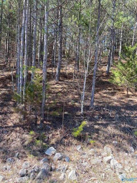 Vacant Land For Sale - LOT 3 BLK 2 Alyson Avenue<br/> Fort Payne, AL 35968