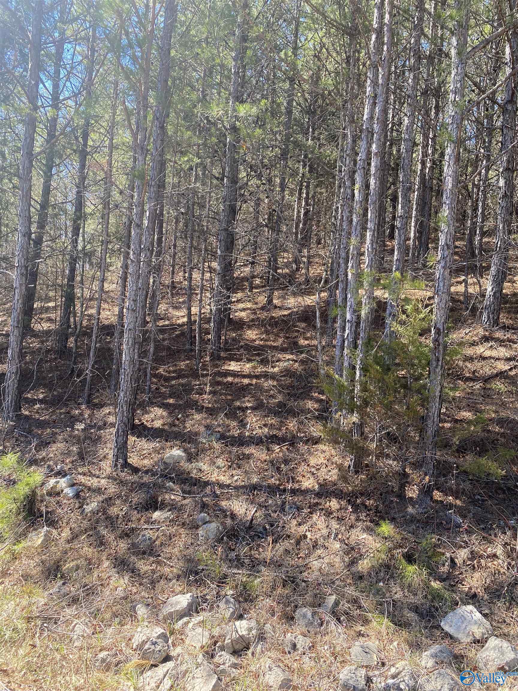 Lot 3 Blk 2 Alyson Avenue, Fort Payne, Alabama image 2