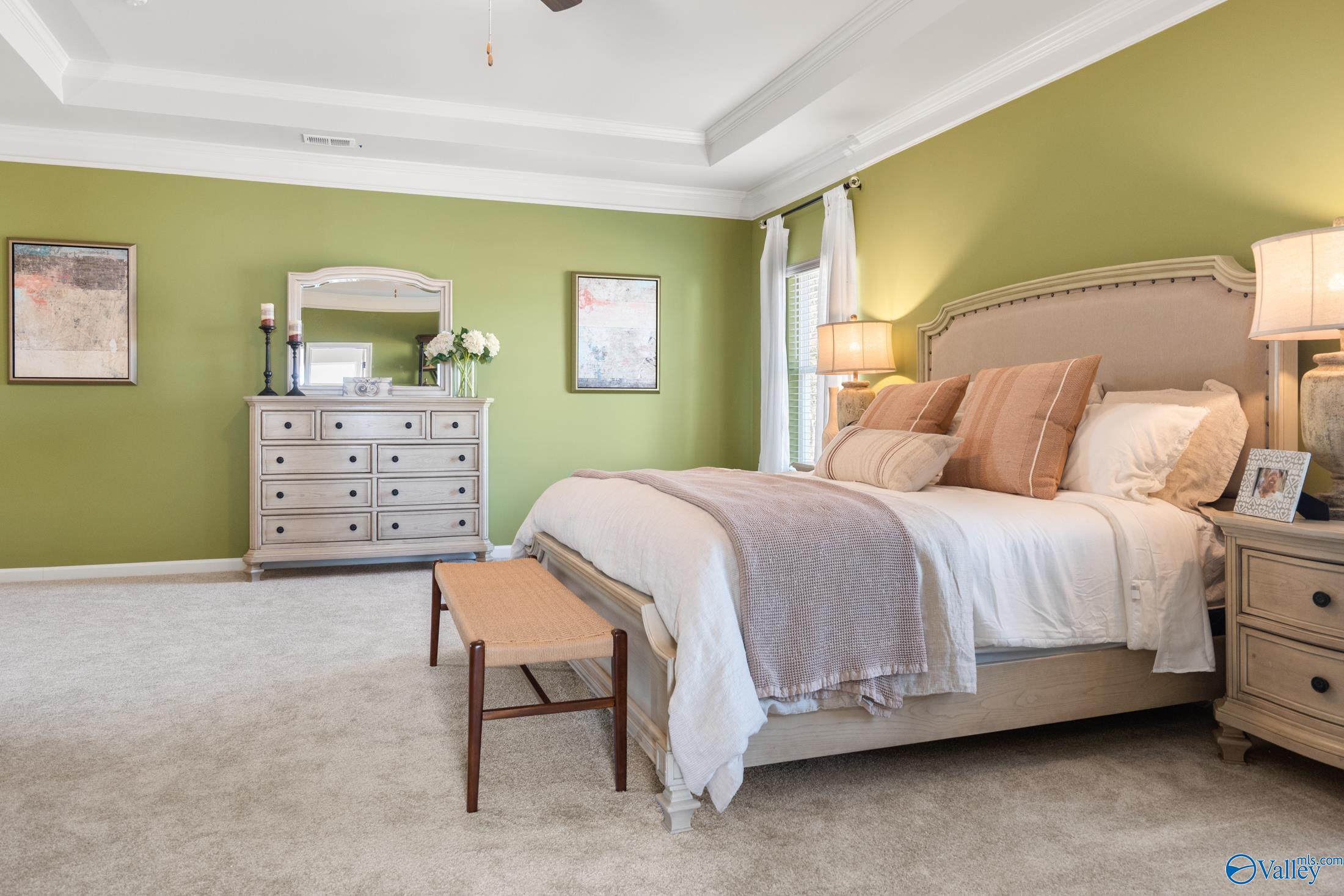 20593 Brook Valley Drive, Athens, Alabama image 20