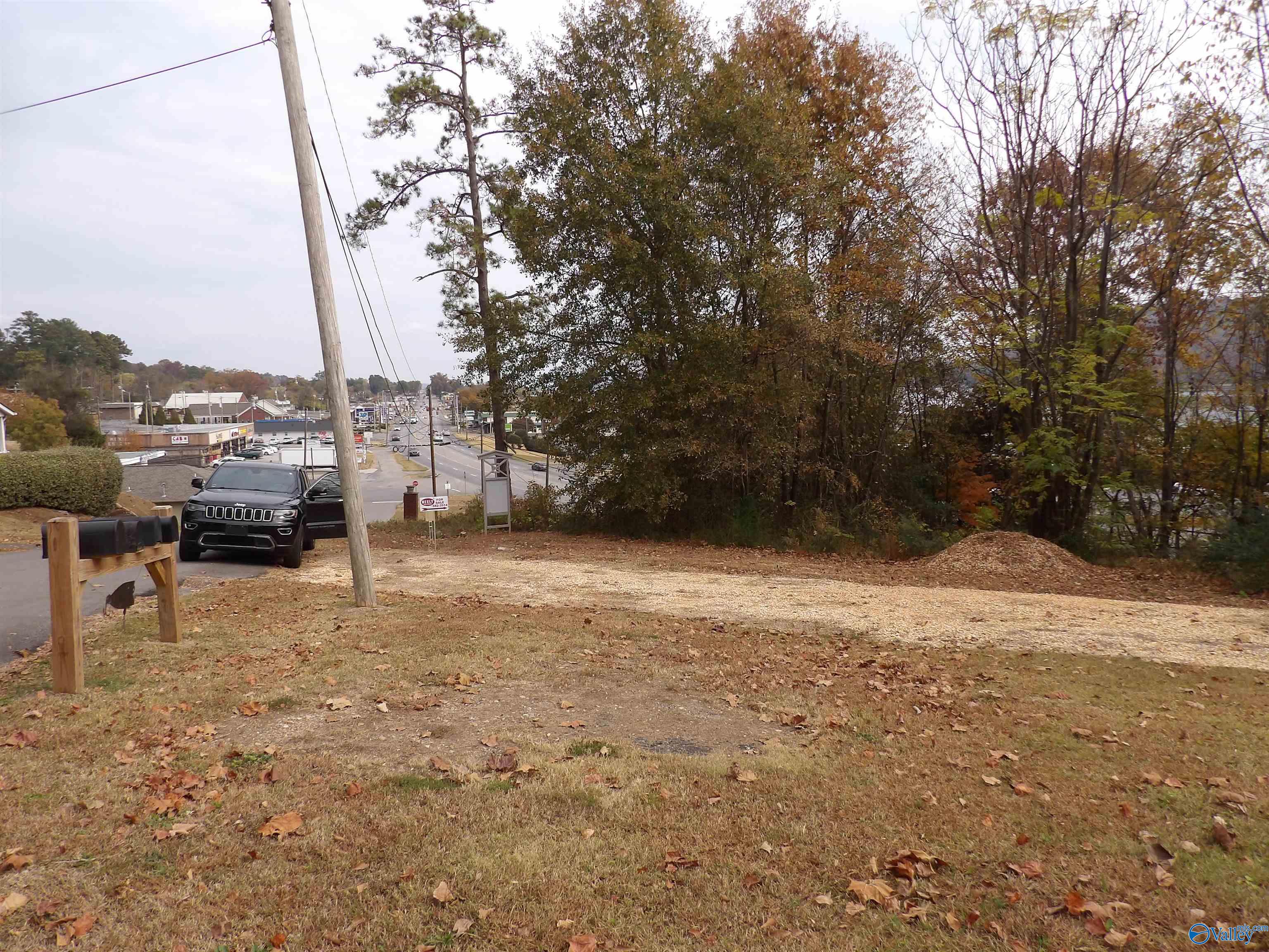 .21 Acres Dunlap Avenue, Guntersville, Alabama image 2