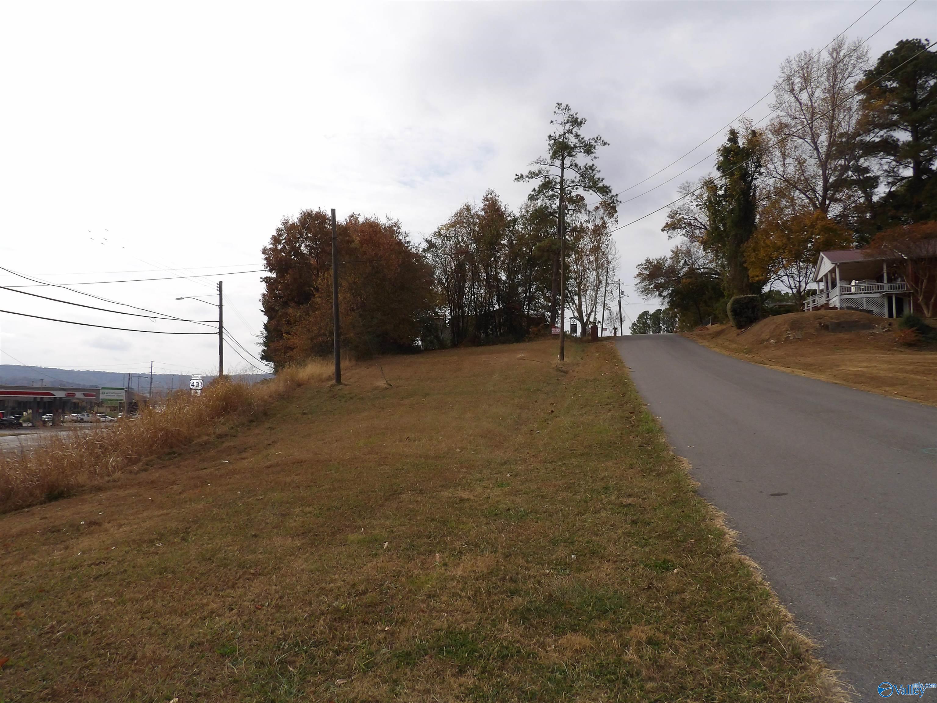 .21 Acres Dunlap Avenue, Guntersville, Alabama image 1