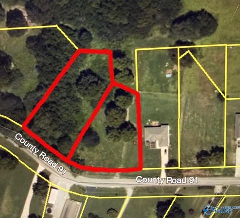 Vacant Land For Sale - 2016 County Road 91<br/> Lauderdale County, Rogersville, AL 35652