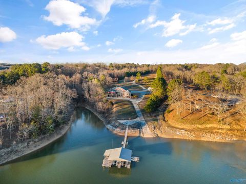 Photo of 246 County Road 251, Cullman, AL 35057 (MLS # 21910981)