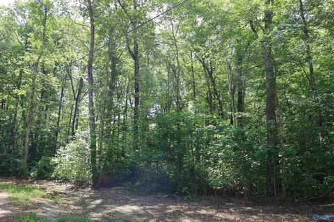 Vacant Land For Sale - 1.47 ACRES Libby Lane<br/> Mentone, AL 35984