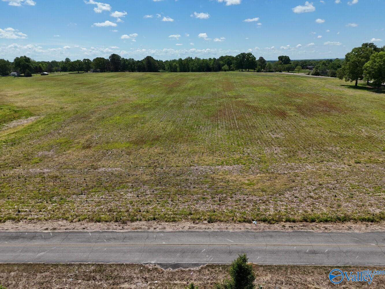 LOT 8 - County Road 263, Florence, Alabama image 8