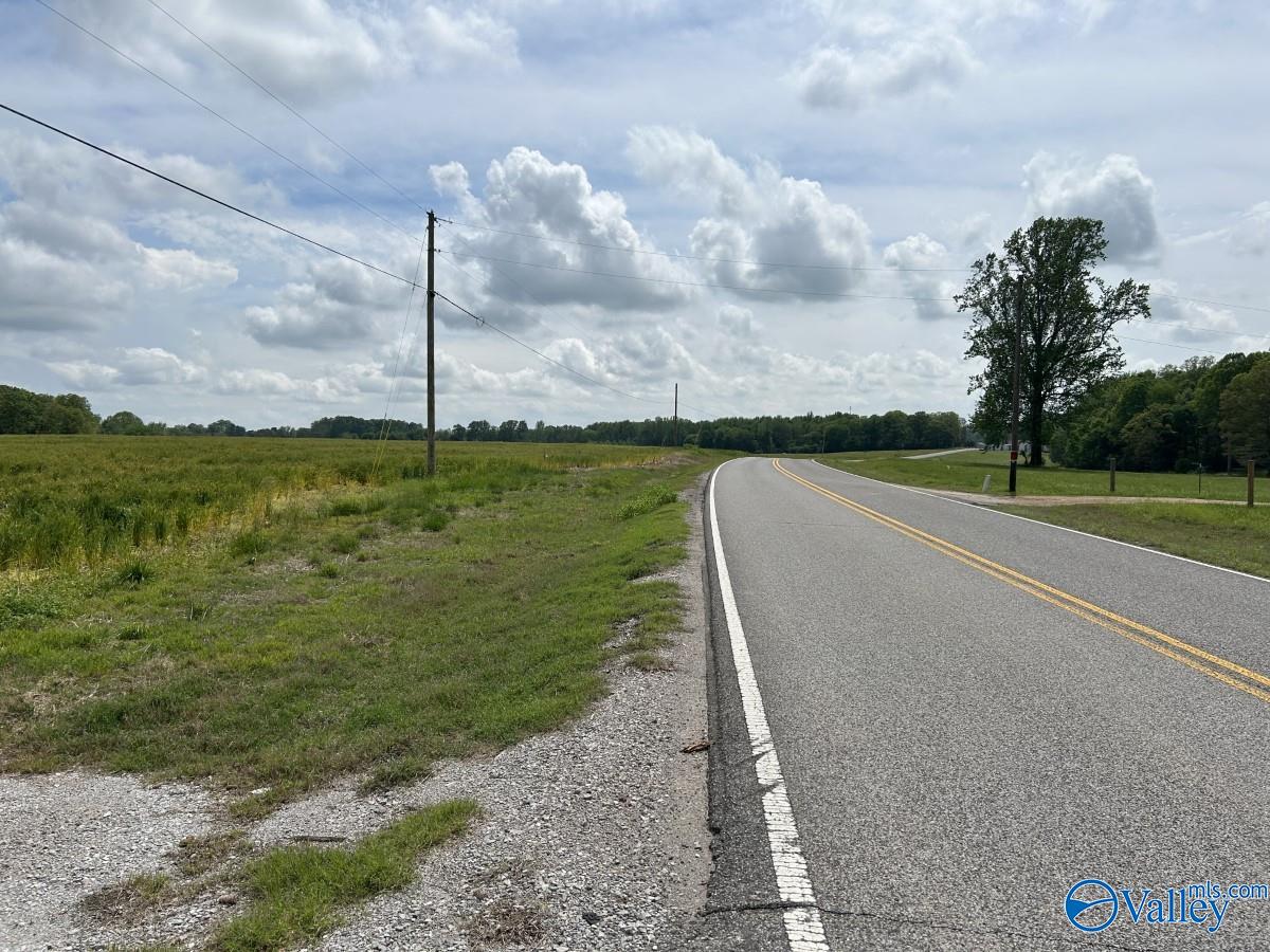 54 ACRES Hwy 207, Anderson, Alabama image 6