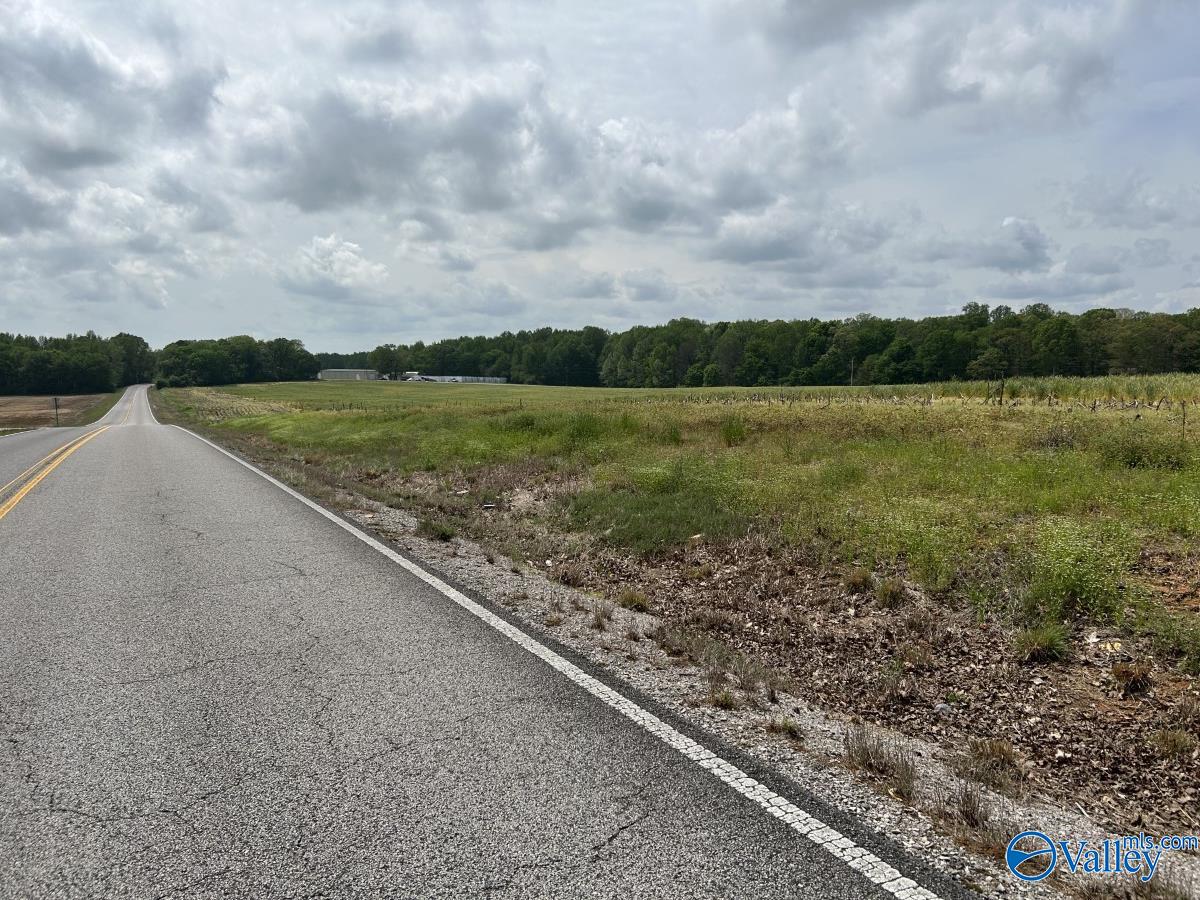 54 ACRES Hwy 207, Anderson, Alabama image 3