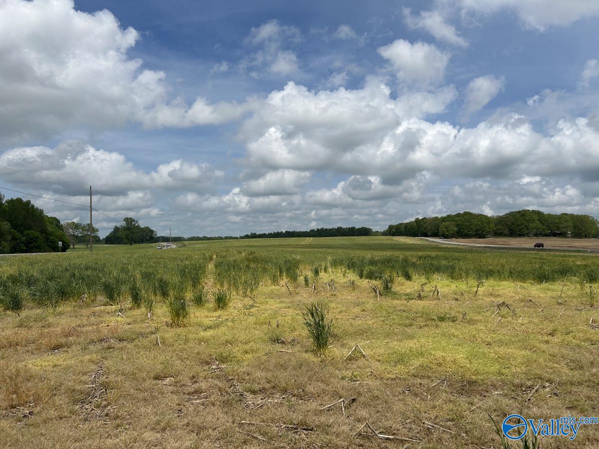 54 ACRES Hwy 207, Anderson, Alabama image 1