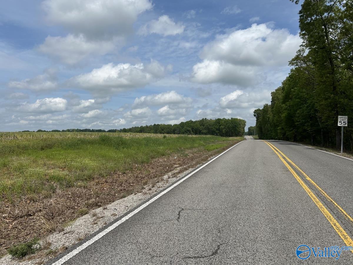 54 ACRES Hwy 207, Anderson, Alabama image 2