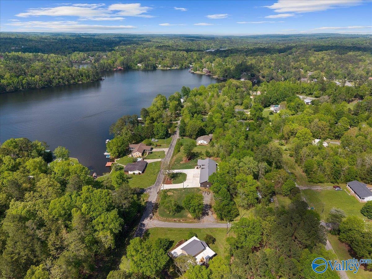 1299 Lakeshore Drive, Oneonta, Alabama image 7