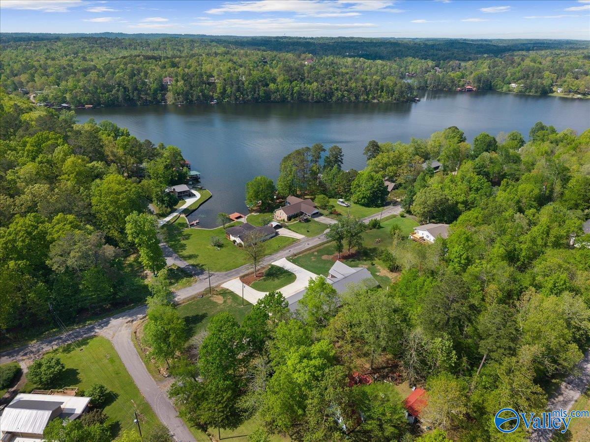 1299 Lakeshore Drive, Oneonta, Alabama image 5
