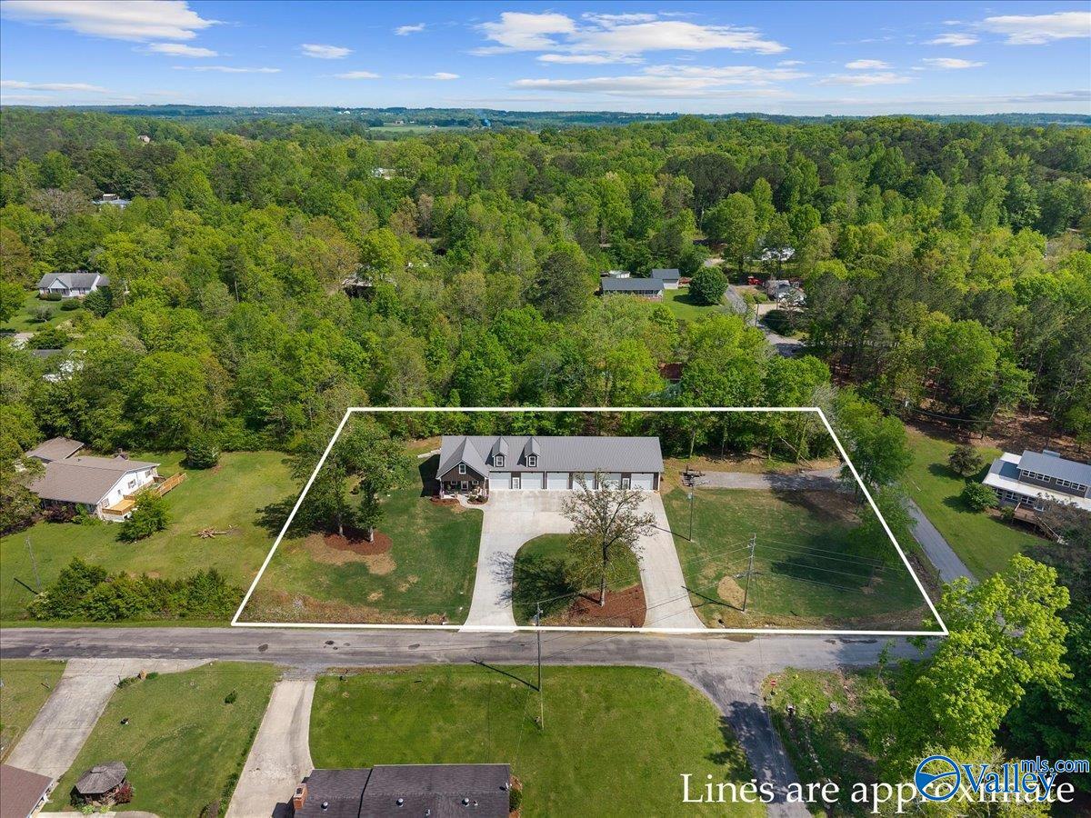 1299 Lakeshore Drive, Oneonta, Alabama image 6