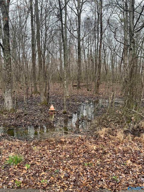 Vacant Land For Sale - LOT 17 Jessica Drive<br/> Toney, AL 35773