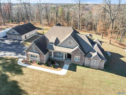 Photo of 343 Mccutcheon Lane, Toney, AL 35773 (MLS # 21905150)