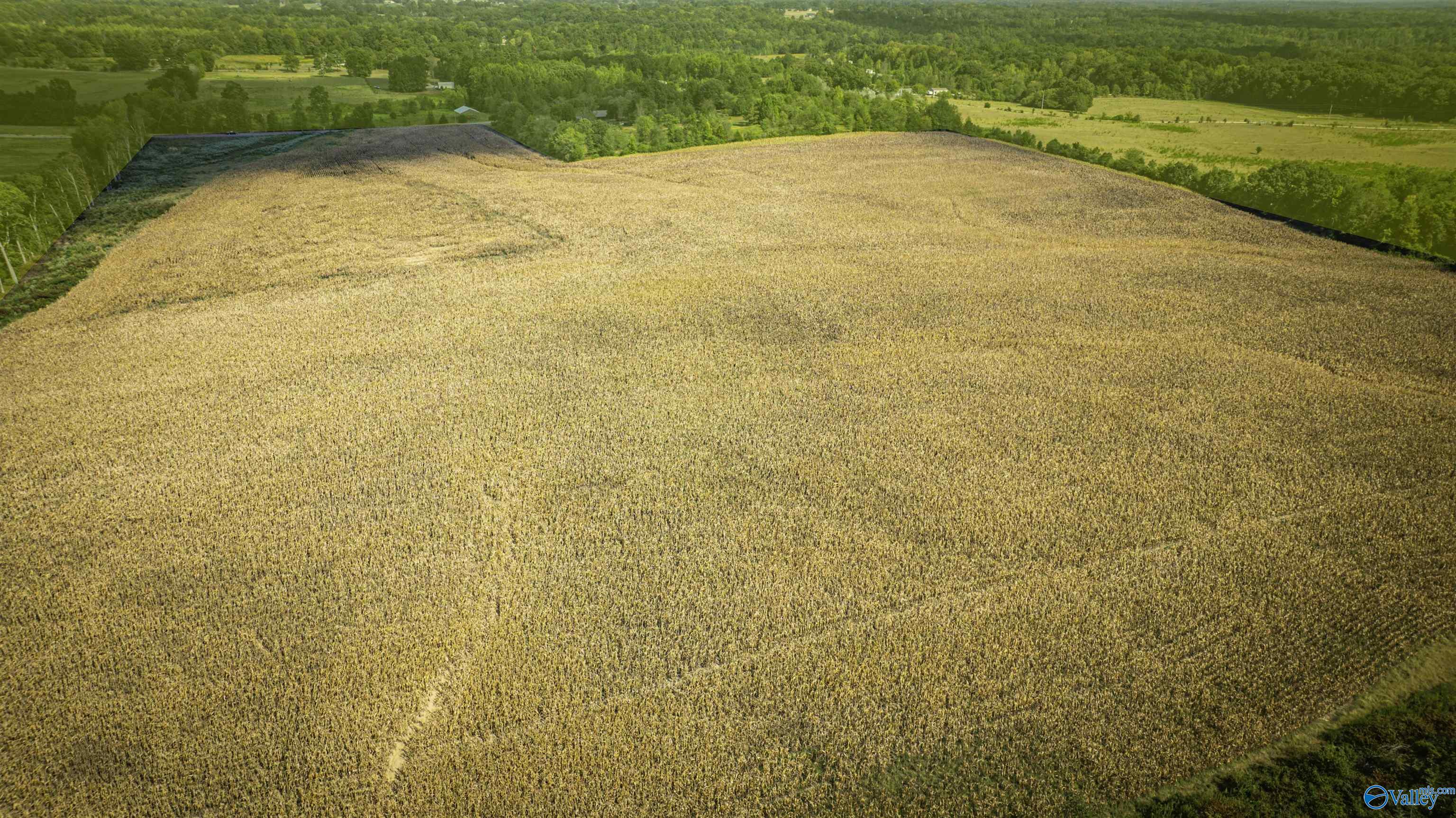 128 Acres County Road 89, Rogersville, Alabama image 9