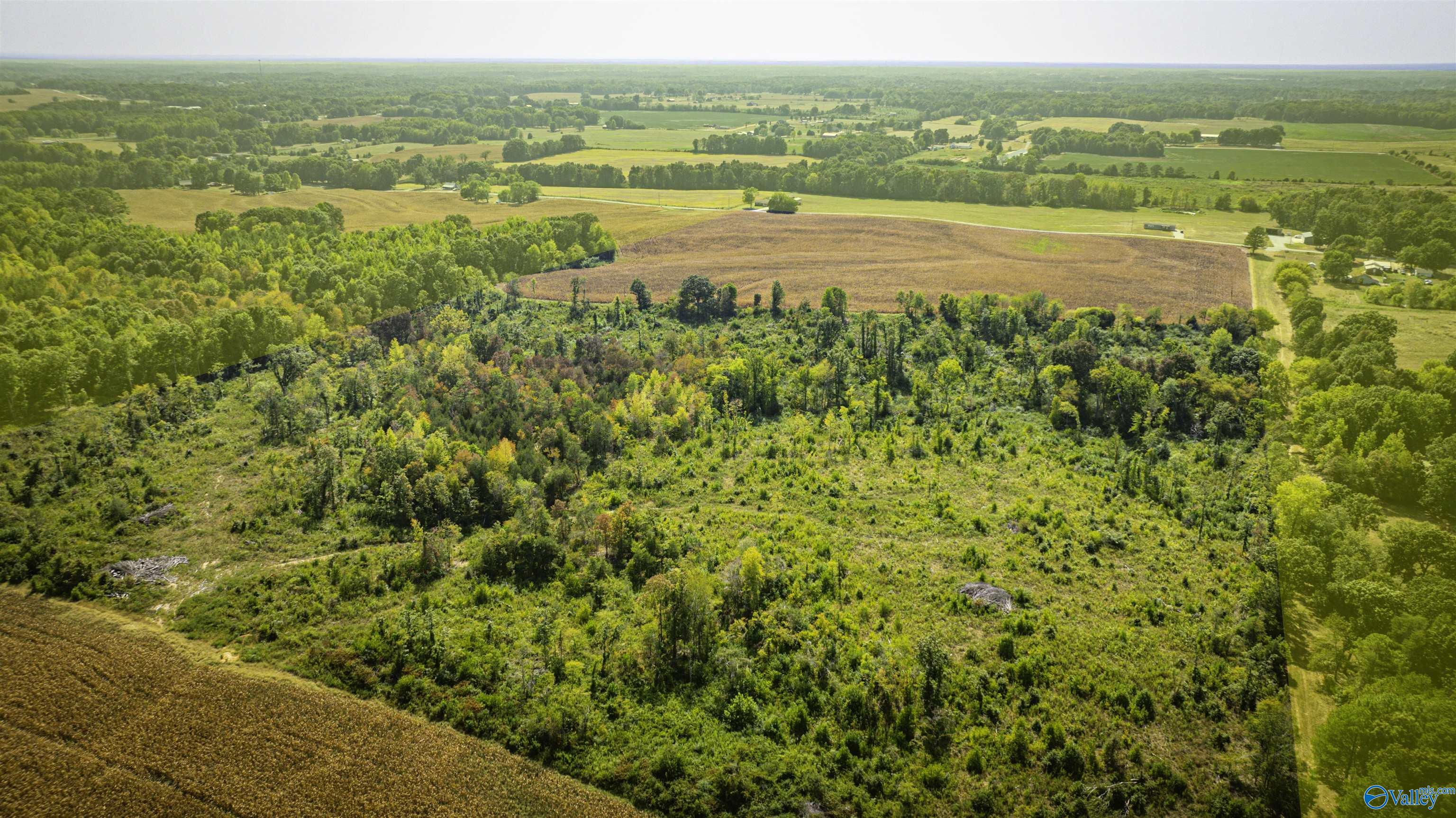 128 Acres County Road 89, Rogersville, Alabama image 10