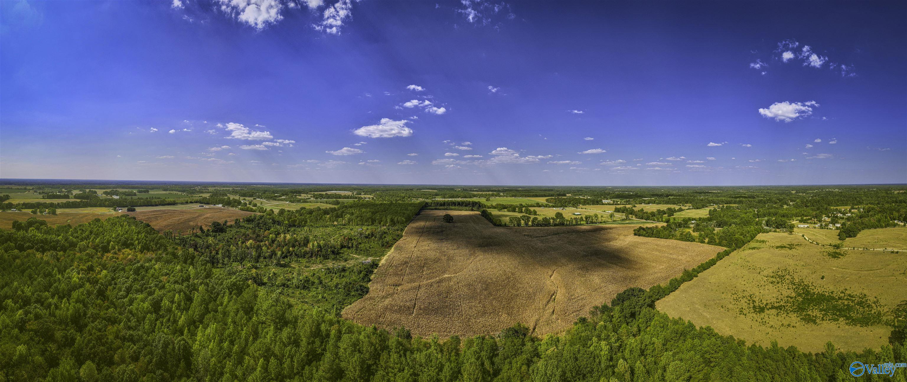 128 Acres County Road 89, Rogersville, Alabama image 1