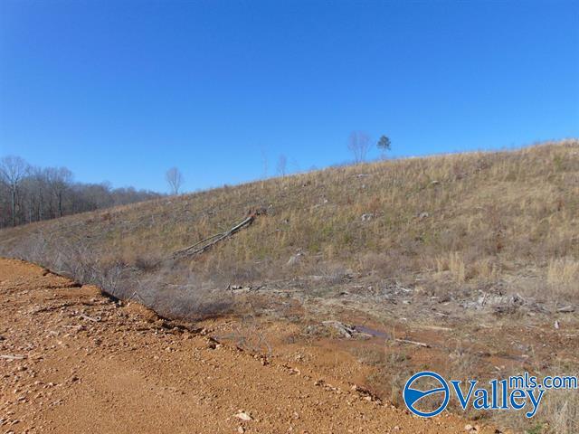 341 County Road 342, Killen, Alabama image 7
