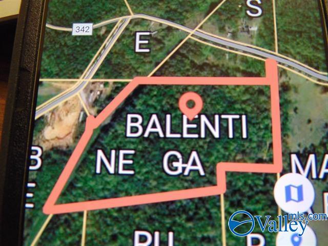 341 County Road 342, Killen, Alabama image 15