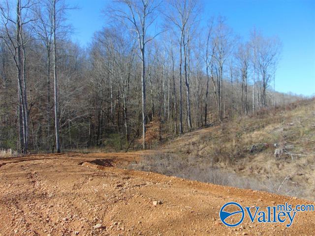 341 County Road 342, Killen, Alabama image 10