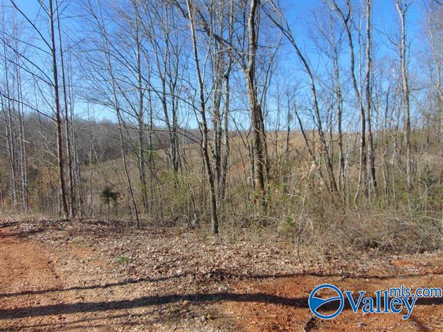 341 County Road 342, Killen, Alabama image 1