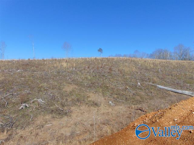 341 County Road 342, Killen, Alabama image 12