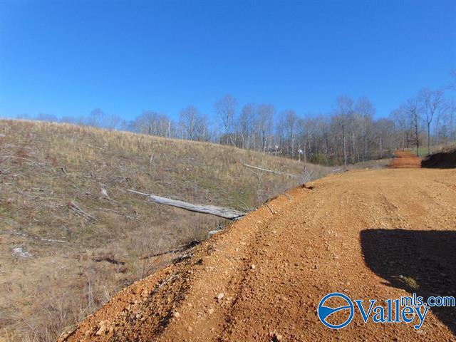 341 County Road 342, Killen, Alabama image 13