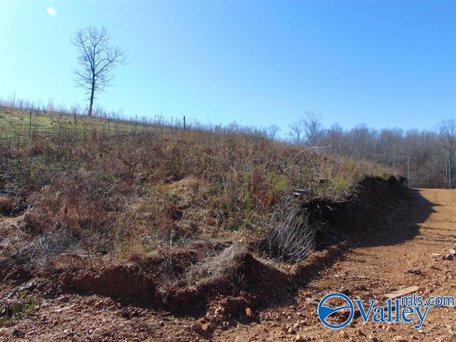 341 County Road 342, Killen, Alabama image 9