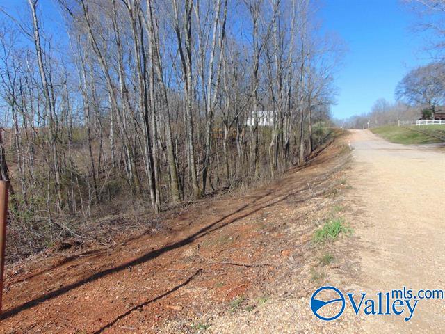 341 County Road 342, Killen, Alabama image 2