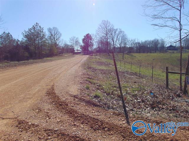 341 County Road 342, Killen, Alabama image 3