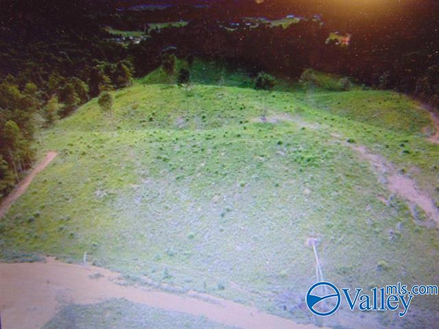 341 County Road 342, Killen, Alabama image 18