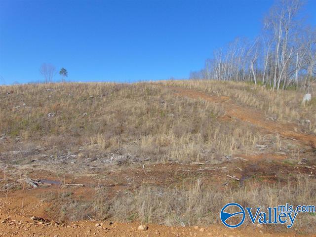 341 County Road 342, Killen, Alabama image 6