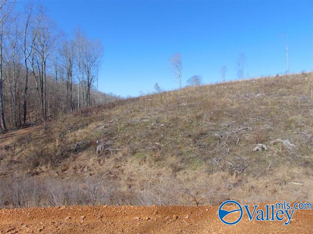 341 County Road 342, Killen, Alabama image 11