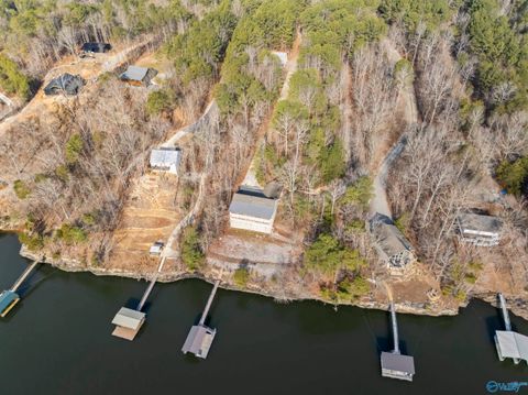 Photo of 153 County Road 378, Crane Hill, AL 35053 (MLS # 21910013)