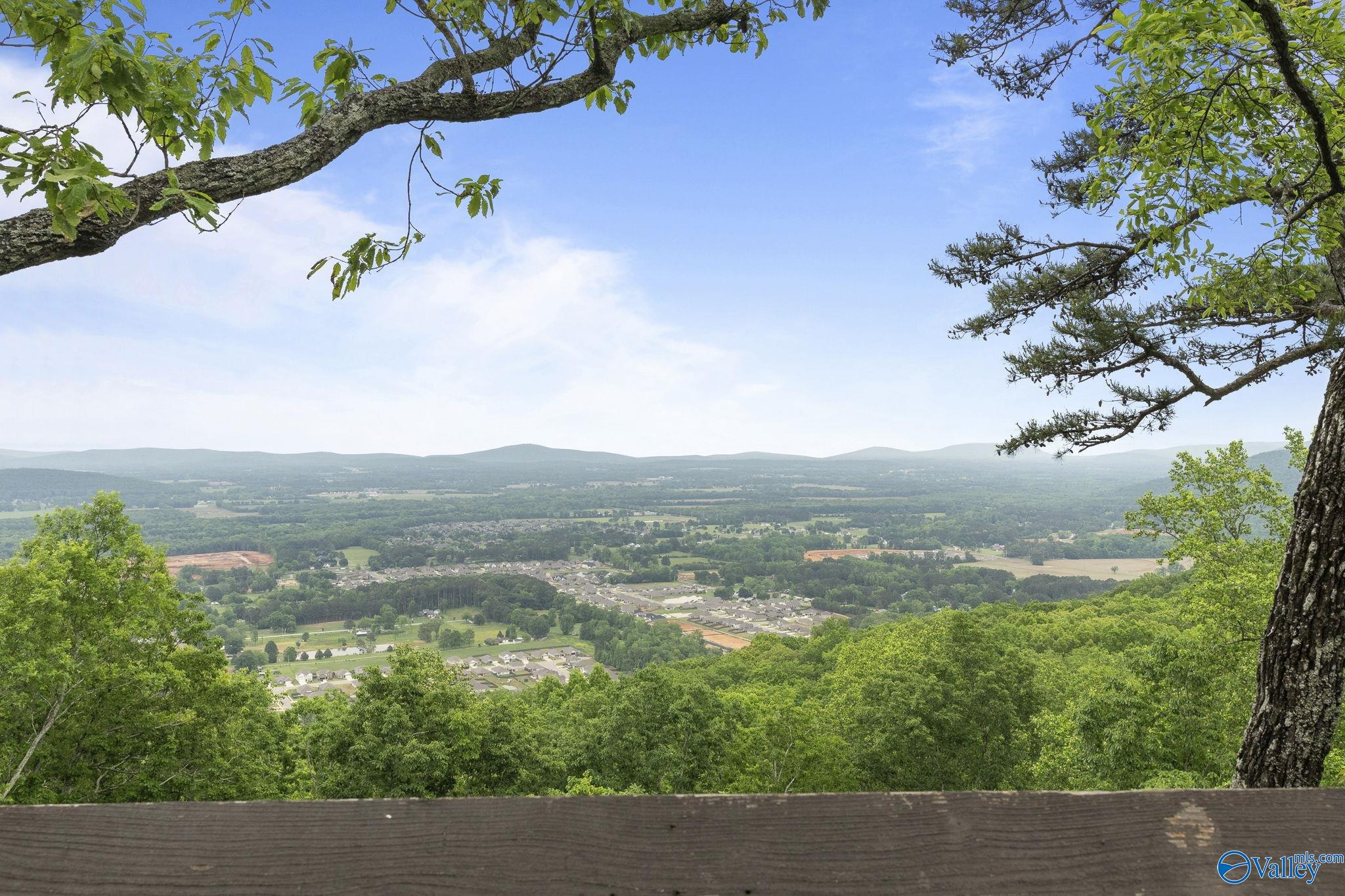 19 Ridge Bluff Circle, Huntsville, Alabama image 33