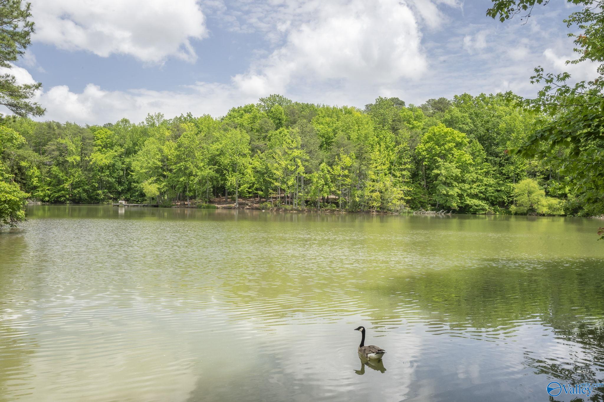 19 Ridge Bluff Circle, Huntsville, Alabama image 40